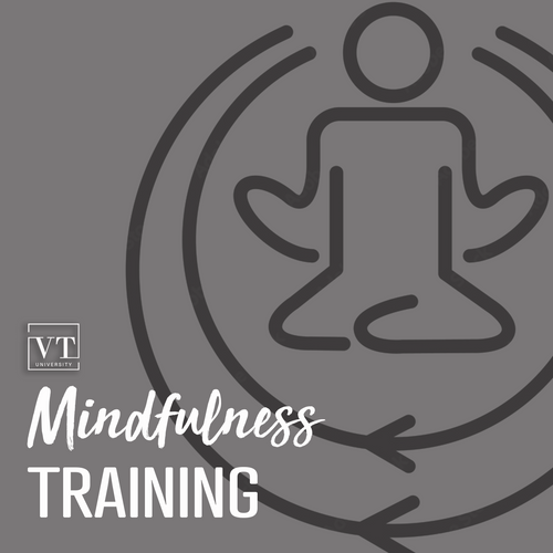 Mindfulness Training Program
