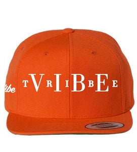 Vibe Tribe Collection Snapback Hats in a variety of colors